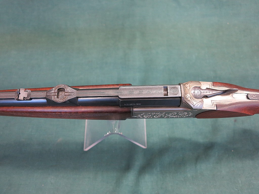 Blaser 16/70-223Rem