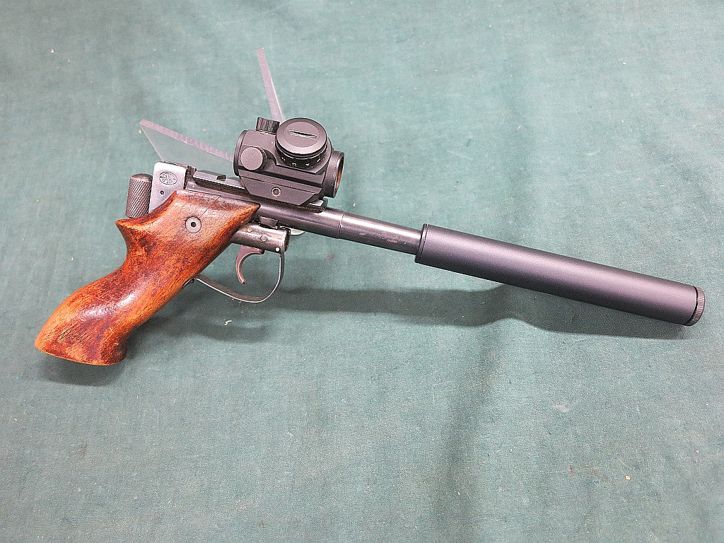 PAV 22LR