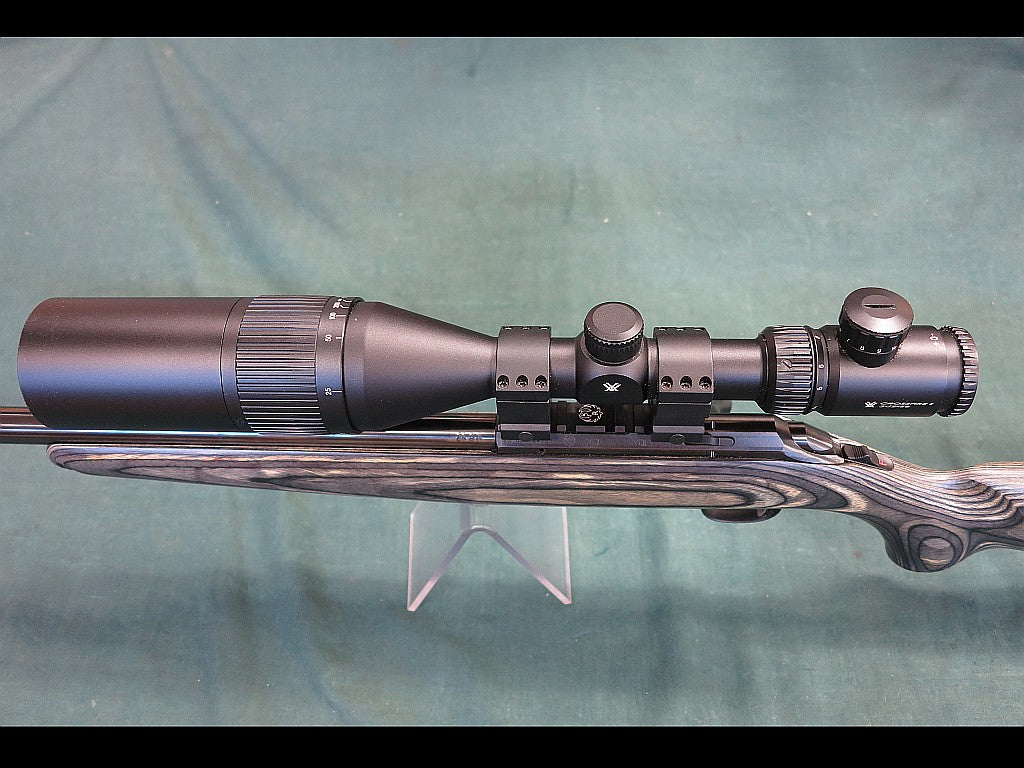 Ruger American 22LR