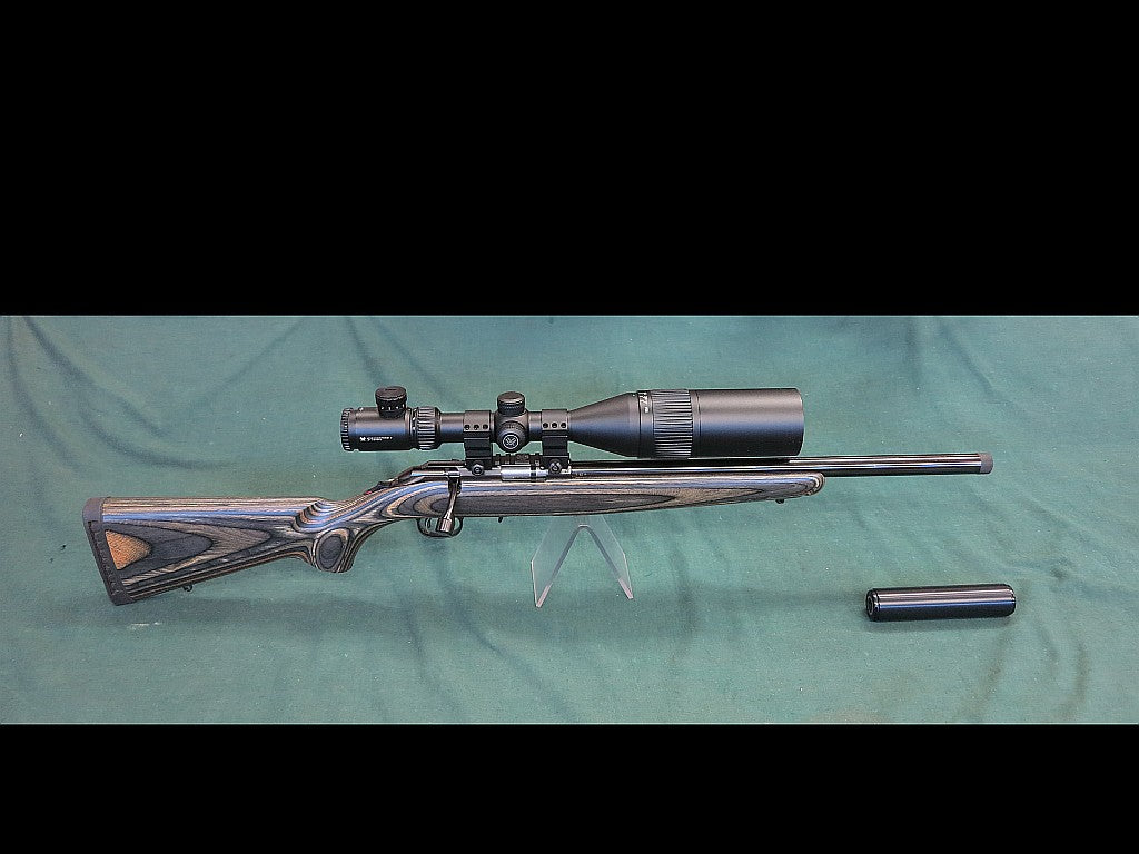 Ruger American 22LR