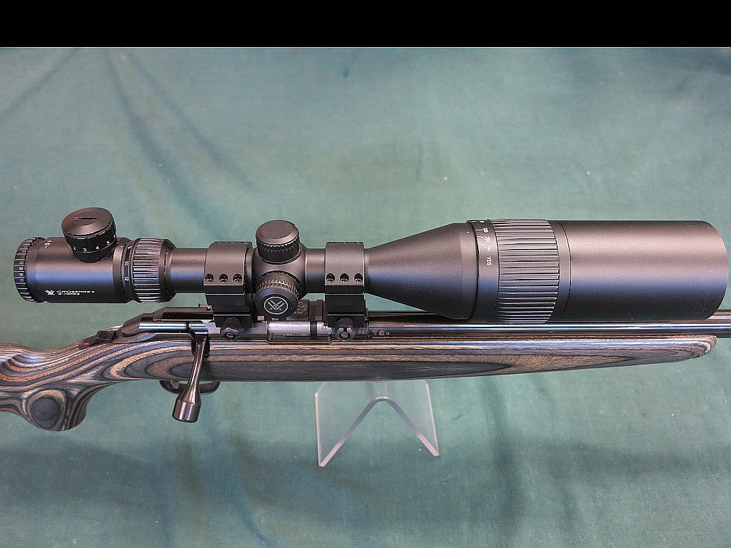 Ruger American 22LR