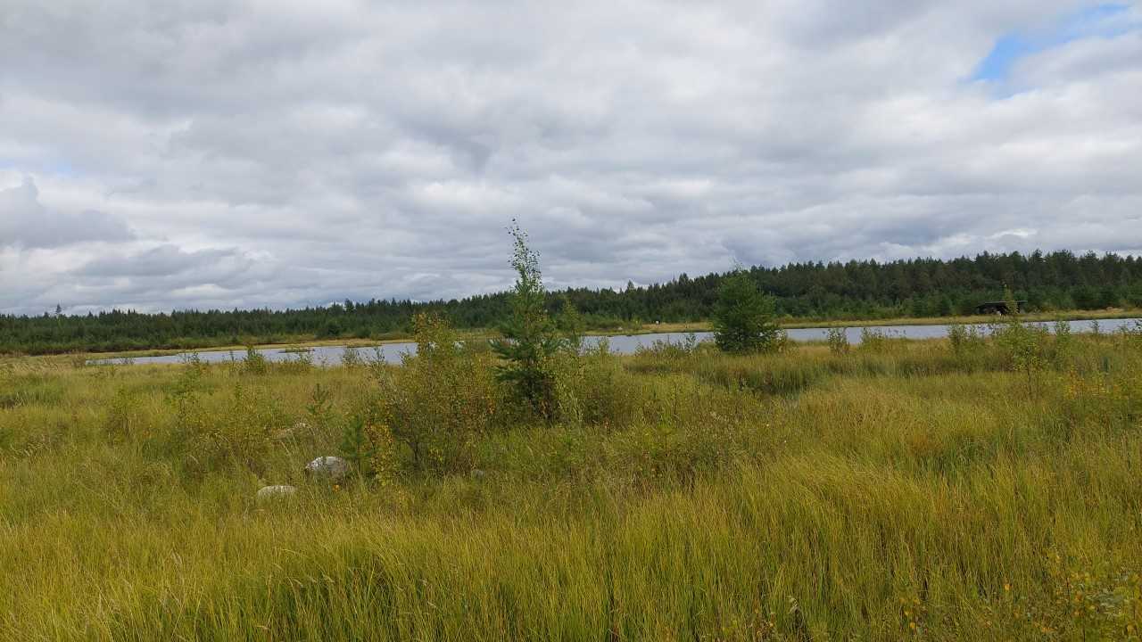 Hunting in Sonkajärvi Jyrkä